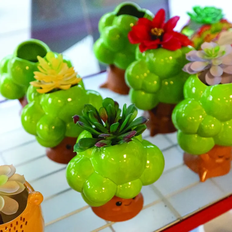 Painted pottery art project with succulent gardens made at Hot Spot Studios Paint Your Own Pottery Candle Making & More.